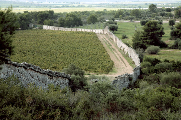Tenuta Caccia Riservata