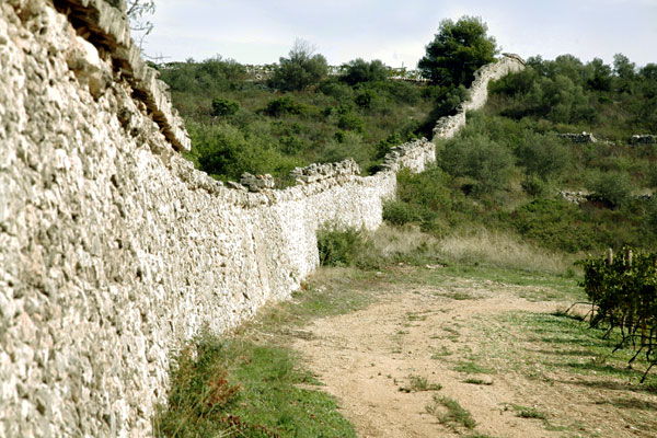 Tenuta Caccia Riservata