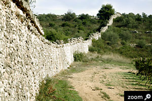 Tenuta Caccia Riservata