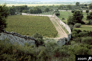 Tenuta Caccia Riservata